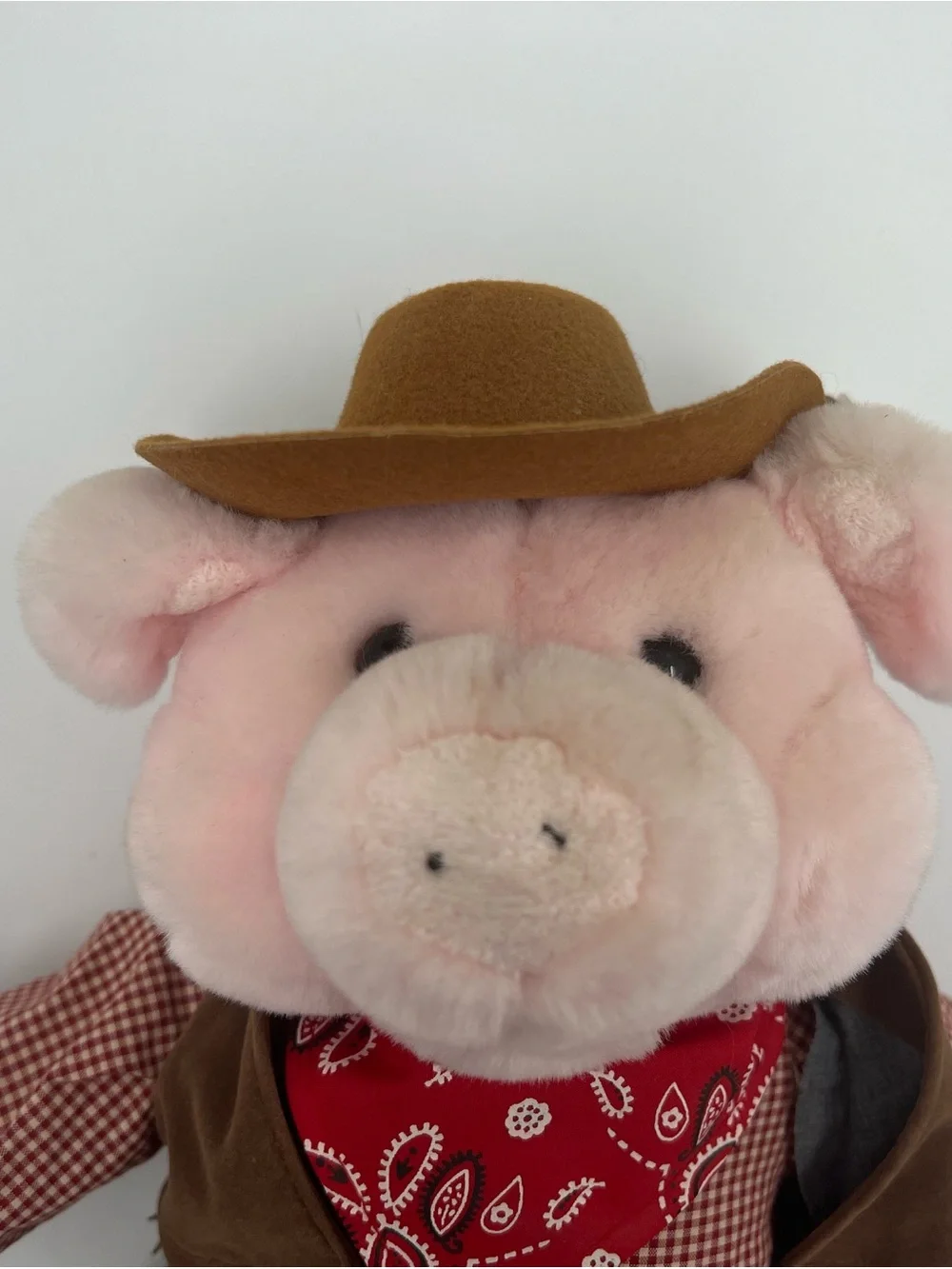 Aurora hammy cowboy